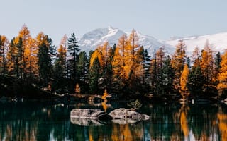 Картинка озеро, водоем, Озеро в горах, осень, горы, деревья