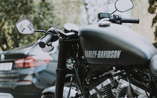 Картинка harley davidson, мотоцикл, бак, матовый, серый