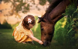 Картинка девочка, лошадь, лужайка