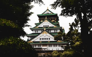 Картинка дворец, япония, крыша