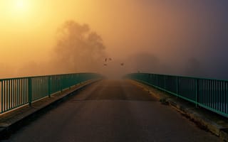 Картинка мост, туман, на рассвете, дорога