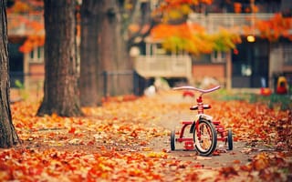 Картинка Детский велосипед на осенней листве