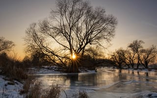 Картинка река, зима, рассвет, дерево