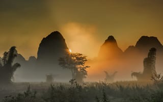 Картинка скалы, туман, рассвет, тайланд