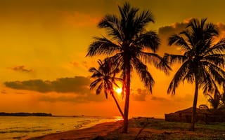 Картинка закат, пальмы, берег