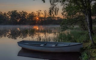 Картинка лодка, озеро, лес