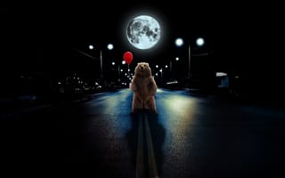 Картинка медведь, ночь, дорога, луна, юмор, шарик