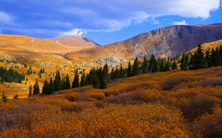 Картинка осень, склон, горы, трава