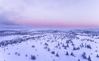 Картинка горизонт, зима, снег, степь