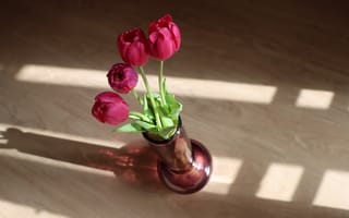 Картинка тюльпаны, ваза, цветы
