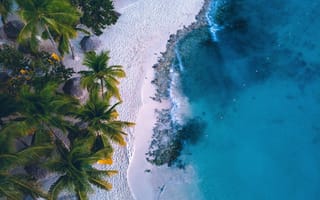 Картинка пляж, пальмы, море, фото с дрона