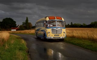 Картинка автобус, дорога, пшеничное поле, ретро, мокрый асфальт, поля