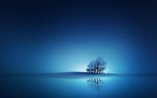 Картинка вода, деревья, арт, синий