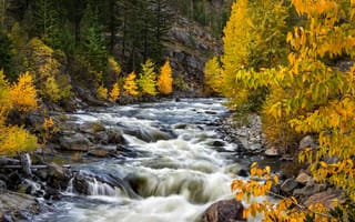 Картинка река, деревья, камни, Река с камнями, осень