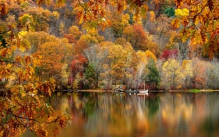 Картинка лес, отражение, водоем, берег, листва, Осенний лес, осень