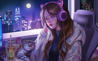 Картинка девушка, кот, наушники, аниме, ночь, за компьютером