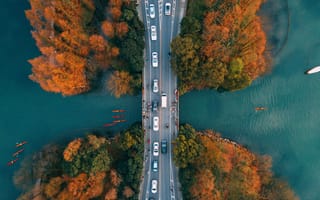 Картинка дорога, мост, вид сверху, деревья, пролив