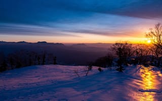 Картинка зима, снег, закат, деревья, Снежная зима