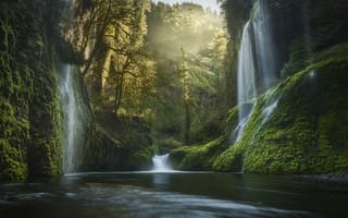 Картинка Водопады среди зелени в Орегоне