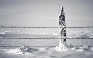 Картинка Снег налип на канатах ограждения