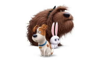 Обои Макс, Дюк, Снежок персонажи мультфильма Секретная жизнь домашних животных