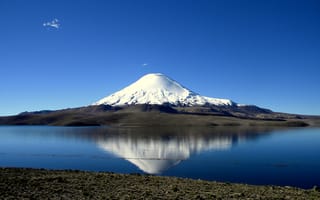Картинка Озеро Чунгара на фоне заснеженной вершины вулкана Сахама, Чили