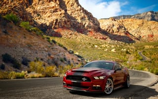 Обои Красный спортивный автомобиль Ford Mustang Shelby