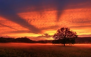 Картинка Красивое красное небо на закате над полем