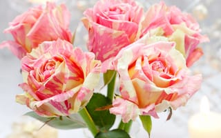Картинка Необычные красивые розы крупным планом