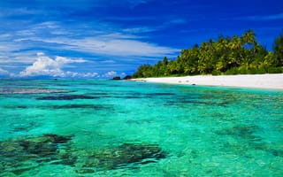 Обои Прозрачная голубая вода в океане у тропического пляжа