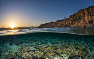 Обои Кораллы в прозрачной морской воде в лучах солнца на рассвете