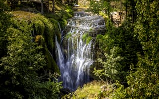 Картинка Красивый водопад стекает с утеса в лесу у покрытых зеленью деревьев