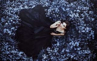 Картинка Молодая девушка модель с красивом черном платье лежит на траве