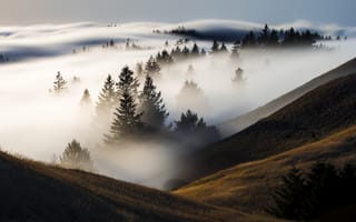 Картинка Утренний туман покрыл деревья и холмы