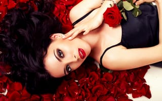 Картинка Красивая девушка брюнетка с красной розой лежит на лепестках