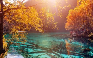 Картинка Прозрачная вода озера в осеннем парке Цзючжайгоу, Китай