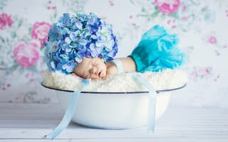 Картинка Маленький грудной ребенок спит в миске с шапкой из цветов гортензии на голове