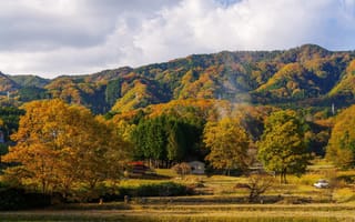 Картинка Холмы покрыты осенним лесом в лучах солнца