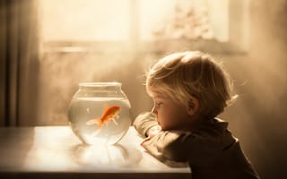 Картинка Маленький мальчик смотрит на аквариум с золотой рыбкой