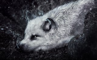 Картинка Фантастический волк лежит на земле