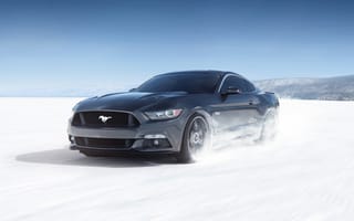 Картинка Черный автомобиль Ford Mustang на заснеженной трассе