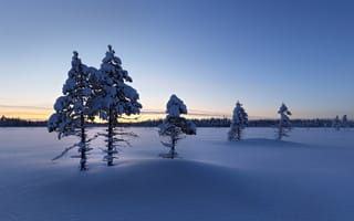 Картинка Восход зимнего солнца над снежной гладью
