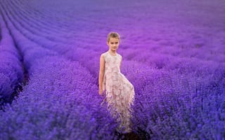 Картинка Девочка в красивом платье на лавандовом поле