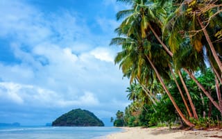 Обои Пальмы на тропическом пляже на побережье Филиппин