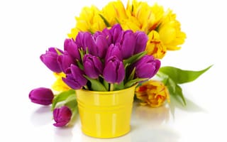 Картинка Сиреневые и желтые тюльпаны в вазах на белом фоне