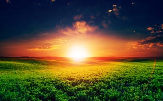 Картинка Восход яркого летнего солнца над полем