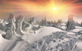 Картинка Глубокий белый снег в лесу под ярким зимним солнцем