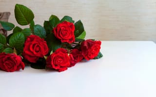 Картинка Букет красных роз на белой поверхности, шаблон