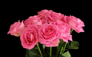 Картинка Букет розовых роз на черном фоне крупным планом