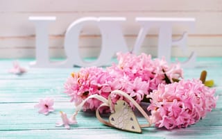 Картинка Розовые весенние цветы крокусы с сердечком и белой надписью LOVE